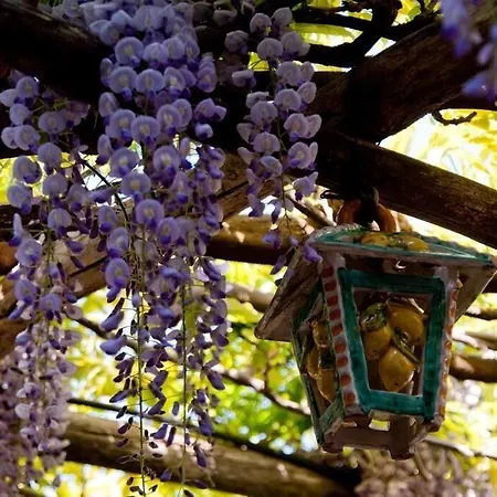 Il Roseto 3* Ravello